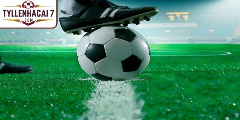 Biến động Odds tài - xỉu để nhận diện cửa mạnh