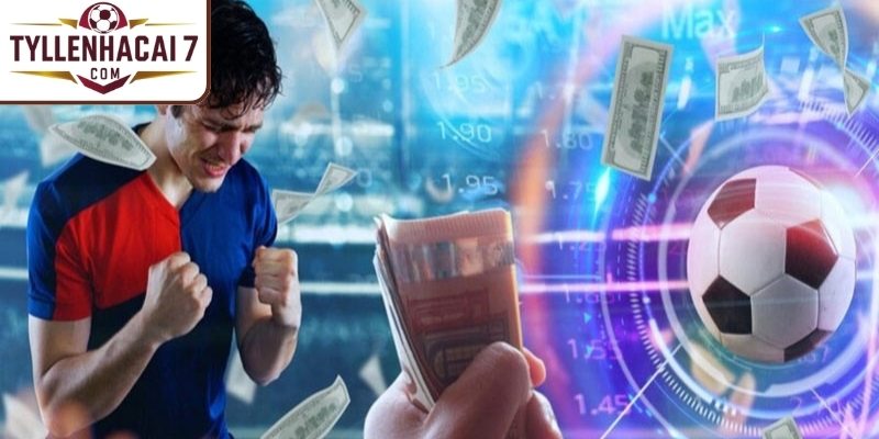 Loại hình 1x2 (châu Âu)