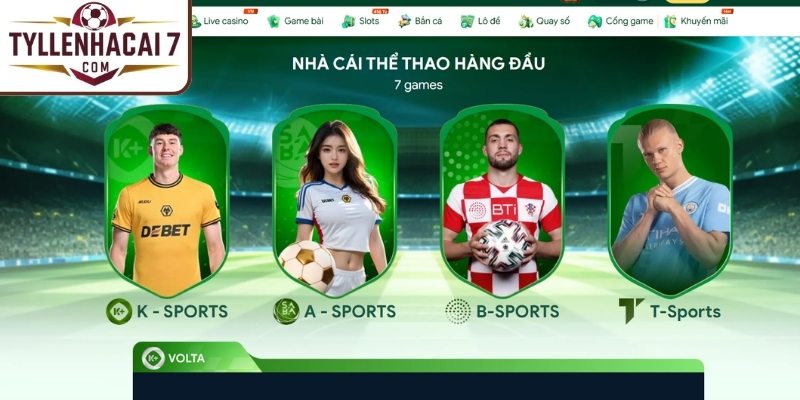 Cá cược Thể Thao sôi động