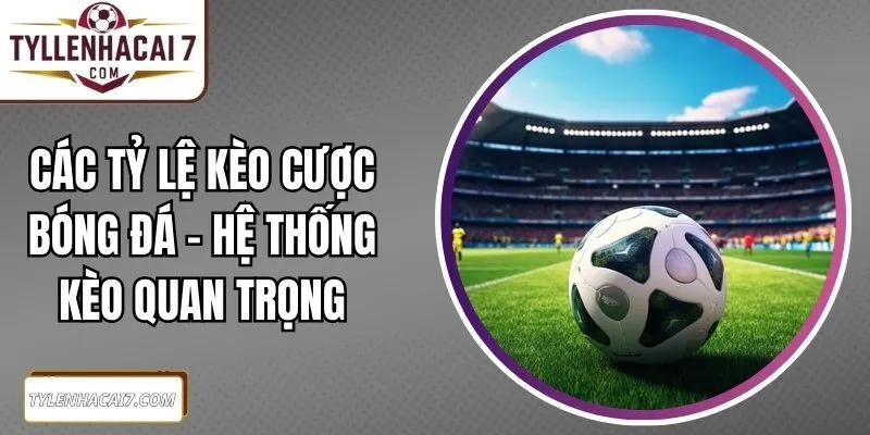 Các Tỷ Lệ Kèo Cược Bóng Đá